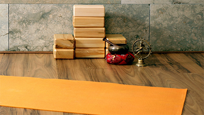 Community Sangha: Benefits of the Practice of Yoga Shola Arewa – Maintaining Balance Through Yoga for the Chakras